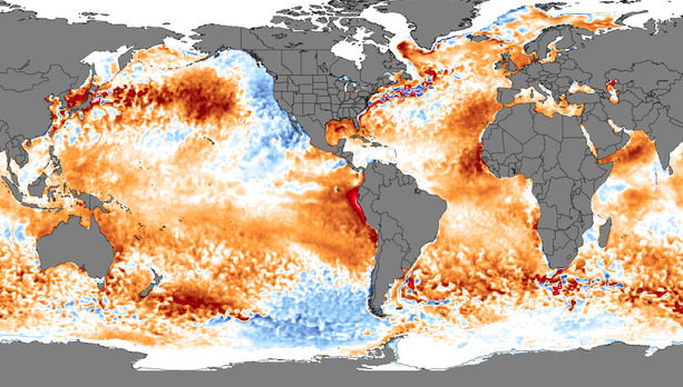 anomalie SST mari e oceani