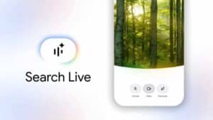 Search Live Google