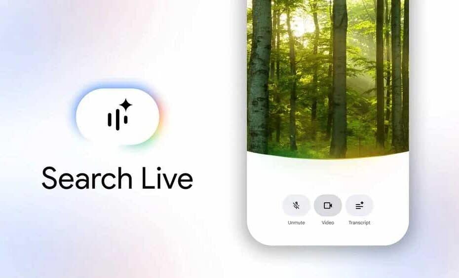 Search Live Google
